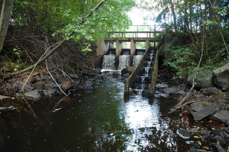 Bro över vattendrag med fisktrappa till höger