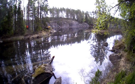 Damm med vattenspegel i skogslandskap