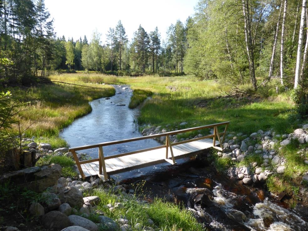 Å som slingrar sig genom skogslandskap. I förgrunden en gångbro.