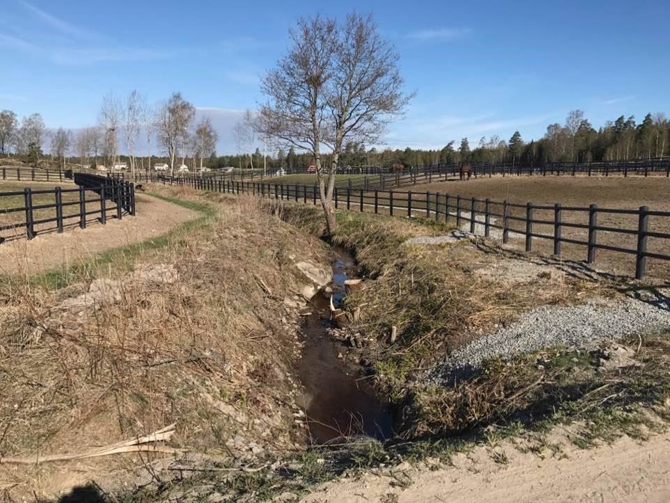 Ett dike som slingrar sig fram mellan två hästhagar.