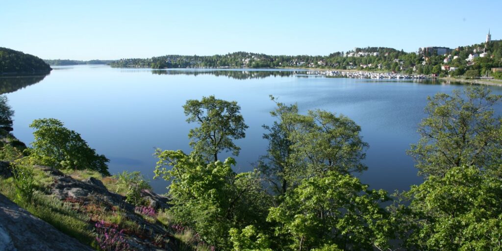 Vy över Edsvikens vatten, med träd, klippor och en stad i bakgrunden.