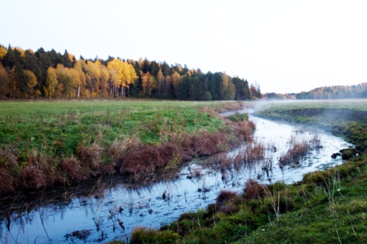 Ett slingrande vattendrag i höstmiljö.