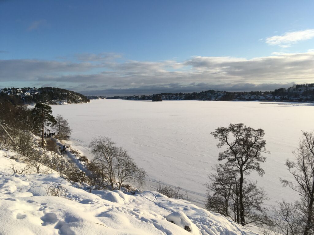 En is- och snöbeklädd sjö.