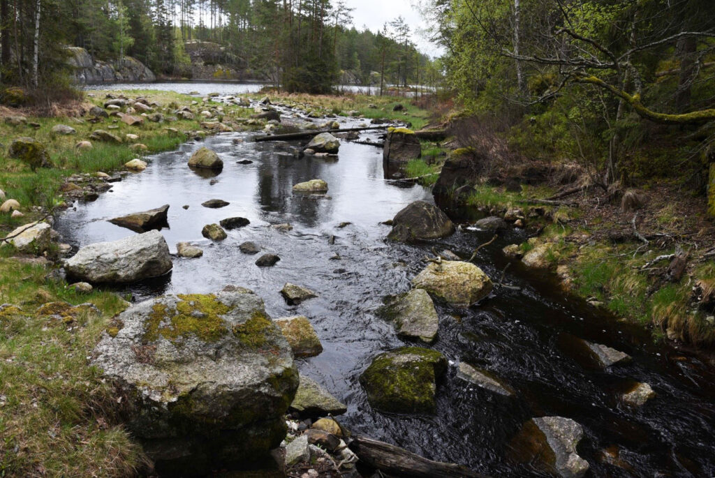 Vattendrag med forsande vatten genom skogslandskap.