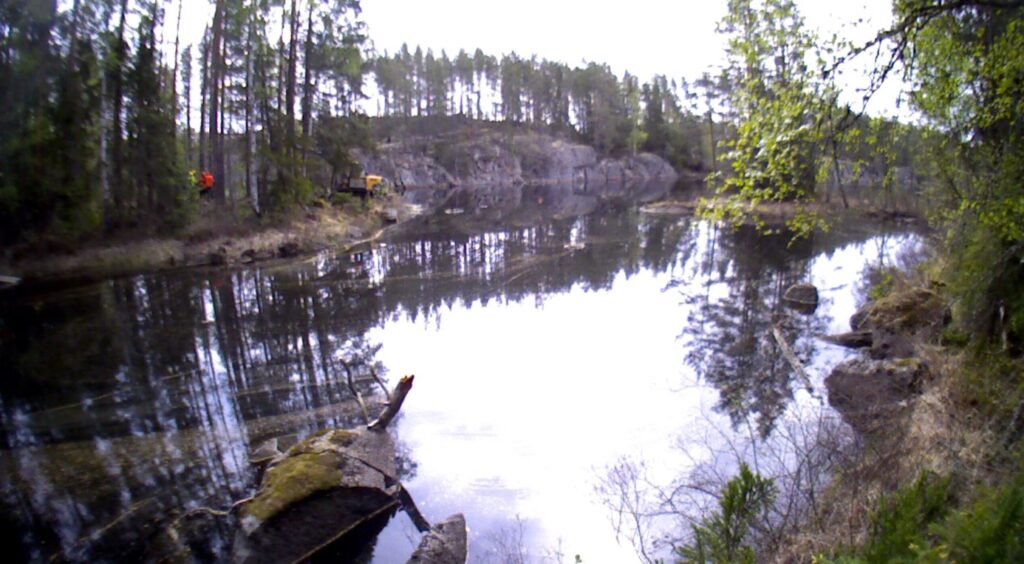 Damm i skogsmiljö med stor vattenspegel.