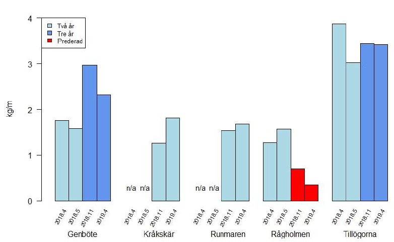 Figur 12. Skördevikt vid de fem burodlingarna i Haninge kommun. Vikterna är ett medel för CTW
och CTUW och är angivna för fyra olika provtillfällen mellan april 2018 (2018.4) och april 2019
(2019.4). Röda staplar indikerar predation och n/a indikerar att stationen ej provtagits vid detta
tillfälle.