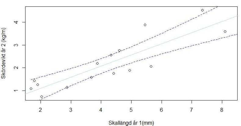 Figur 13. Samband mellan skallängd efter en tillväxtsäsong och skördevikt per meter efter två
tillväxtsäsonger.