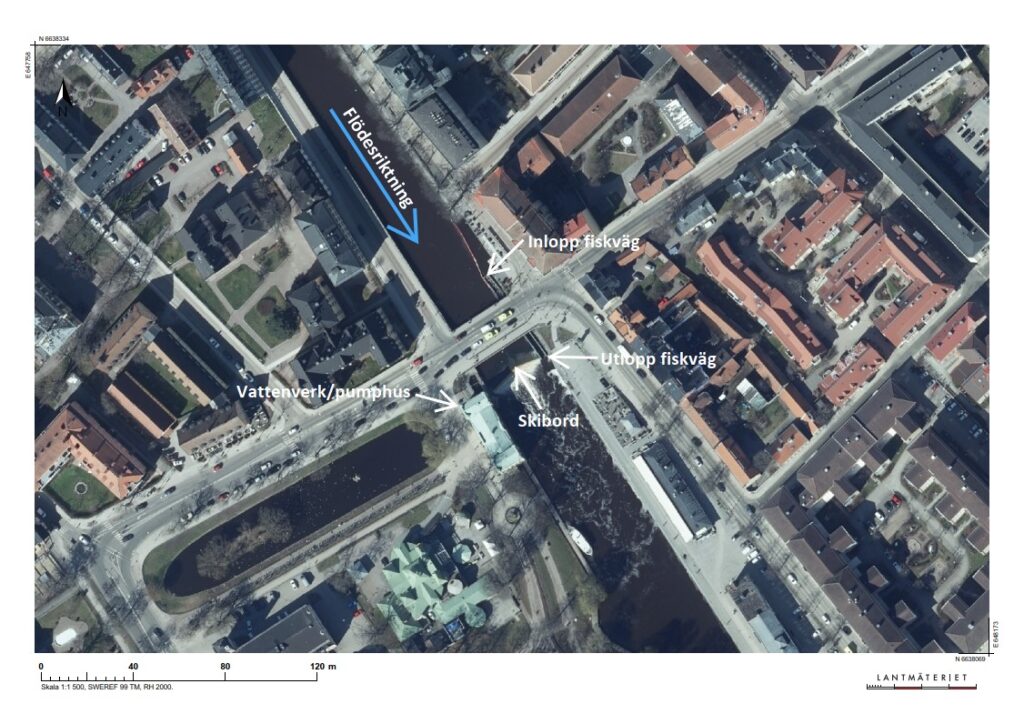 Planskiss över anläggningen vid Islandsfallet i Uppsala.