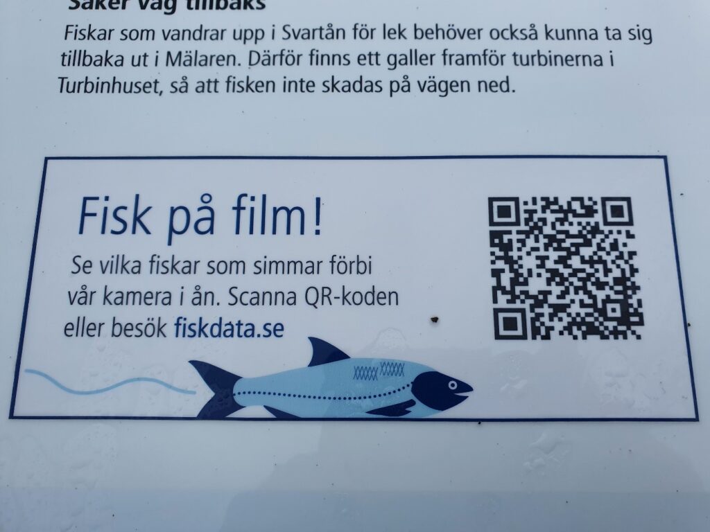 Inzoomad text på informationsskylt, Fisk på film! med en tecknad fisk och en qr-kod.