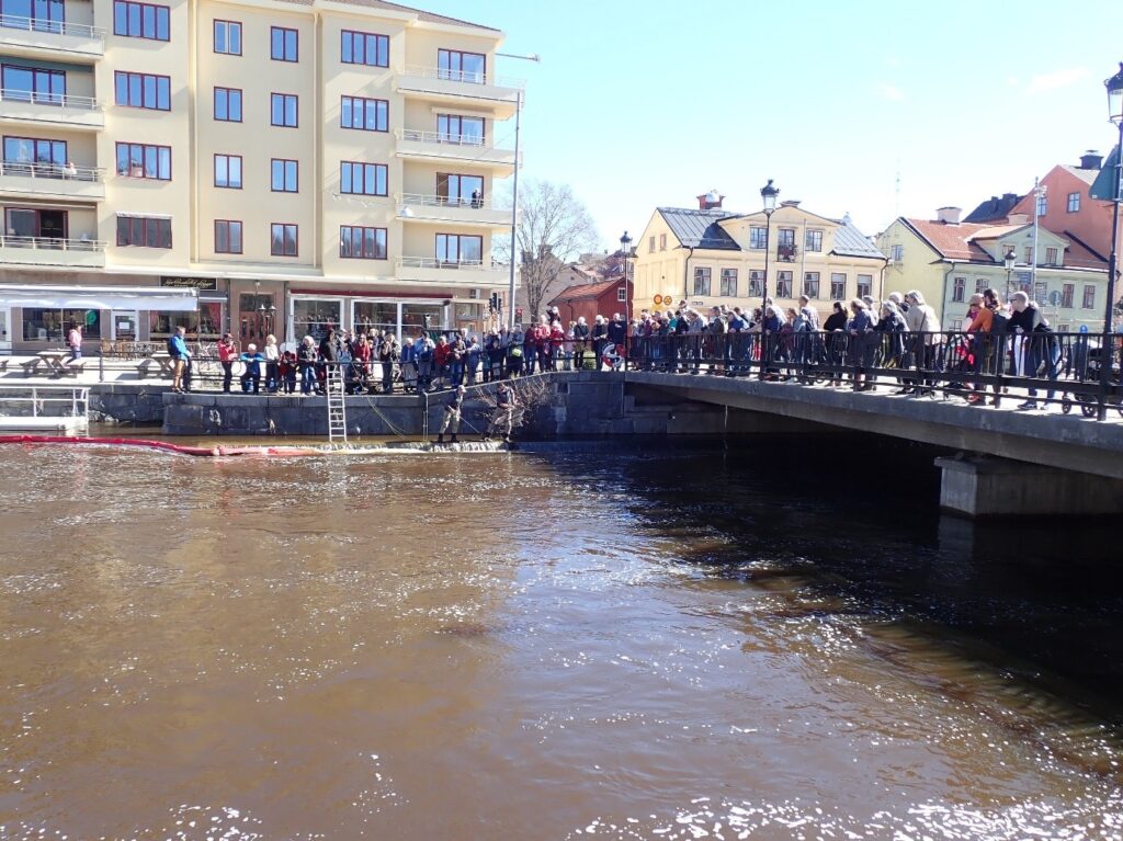 En folkmassa står på en bro och vid kanten av en å.