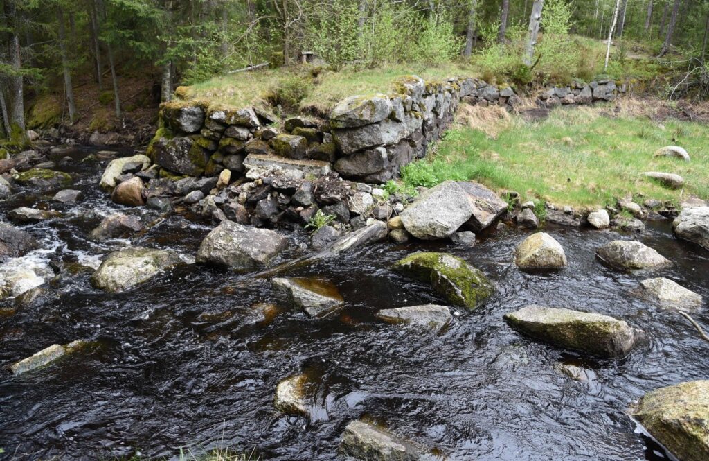 Forsande vattendrag i skogslandskap