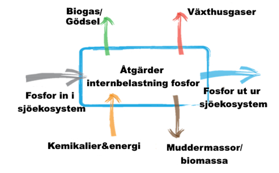 Ritad bild med åtgärder mot internbelastning i centrum med in- och utgående pilar. Bilden visar att åtgärderna kan påverka fosforflödena ur sjöekosystemet, möjligheten till produktion av biogas och gödsel, utsläpp av växthusgaser, mudder- eller biomassa som behöver föras bort samt kemikalier och energi som kan behöva föras till sjöekosystemet.