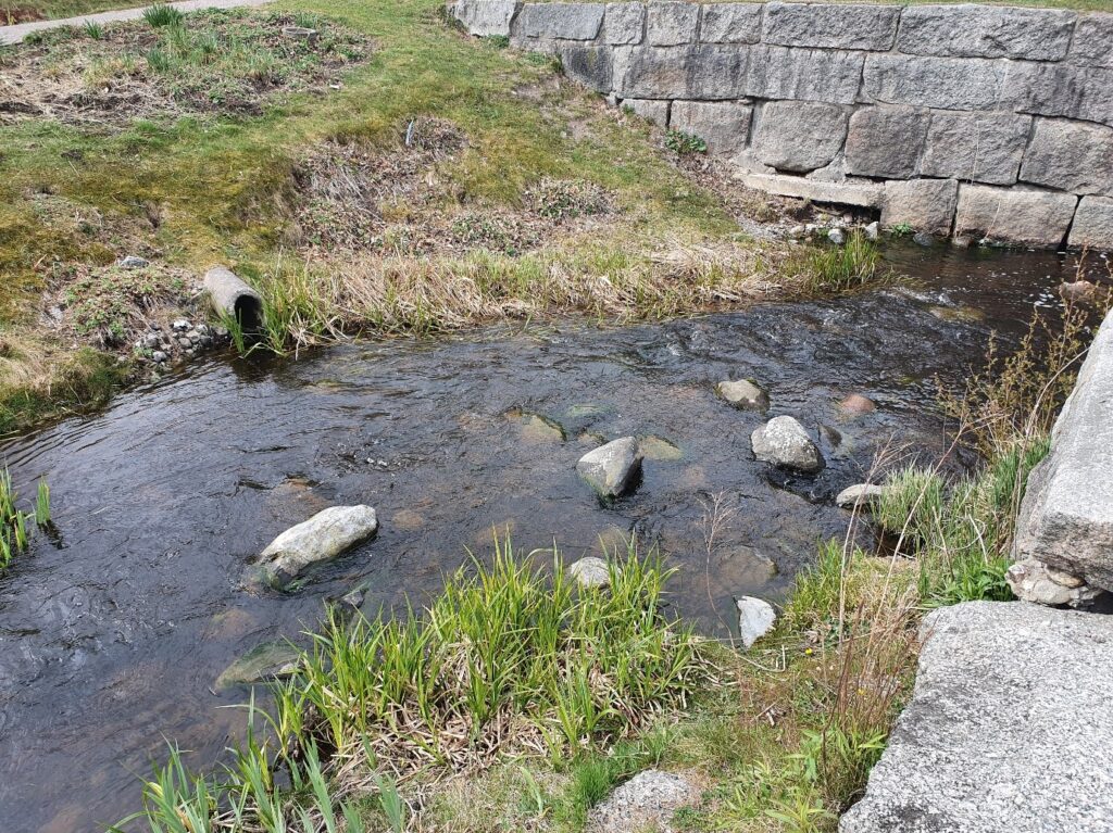 Närbild på vattendrag med stenar och en mur i bakgrunden.