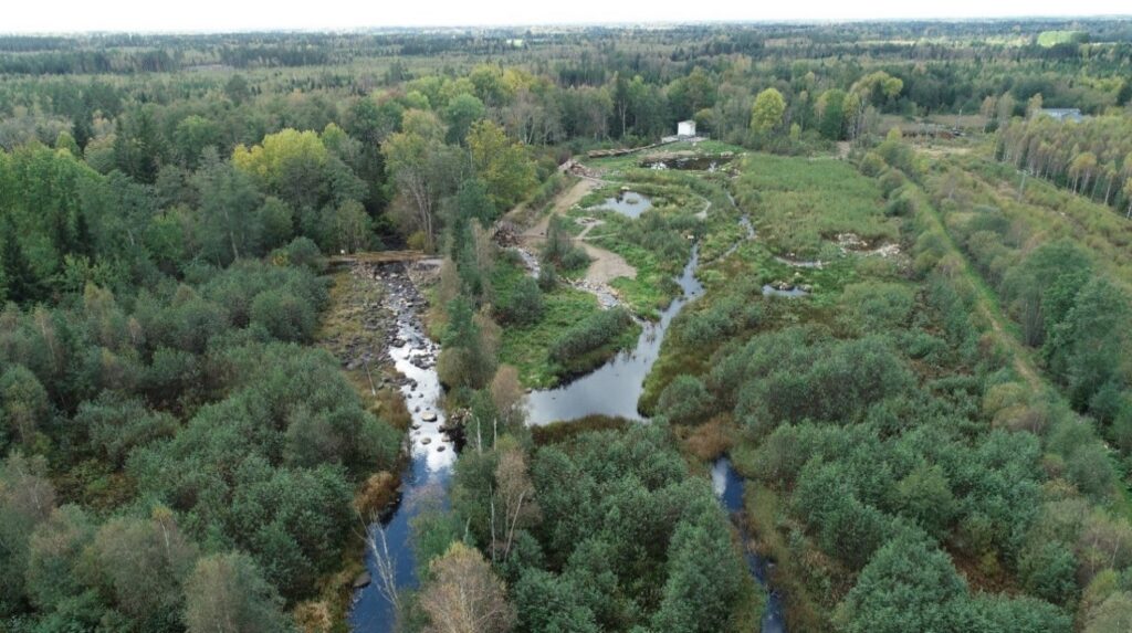 Flygbild över skogslandskap. I mitten syns ett vattendrag.