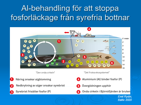 Illustration över hur aluminiumfällning av en sjöbotten fungerar.