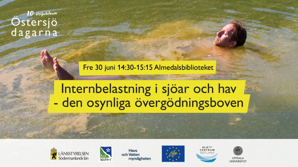 Man som badar i ett grumligt vatten. På bilden syns texten Östersjödagarna och rubriken Internbelastning i sjöar och hav - den osynliga övergödningsboven.