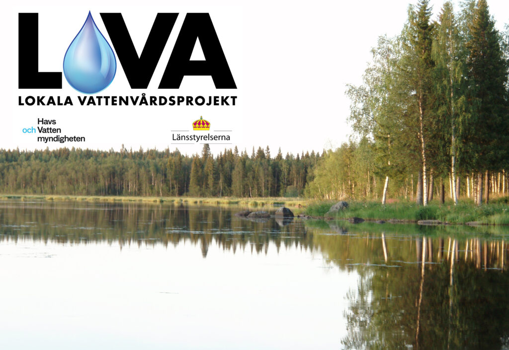 illustrativ bild på träd som speglas i vattenyta med infälld LOVA-logotyp