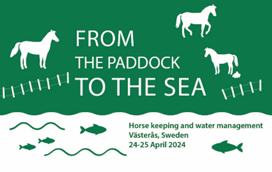 Illustration med tre hästar, ett vattendrag och texten From the paddock to the sea