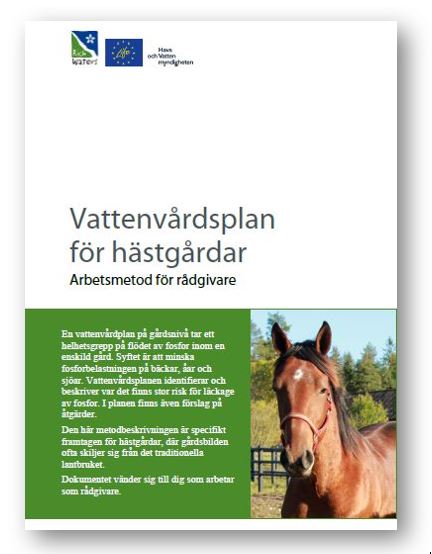 Bild på omslag på en publikation med rubriken Vattenvårdsplan för hästgårdar. På omslaget finns en bild på en brun häst i en hage.