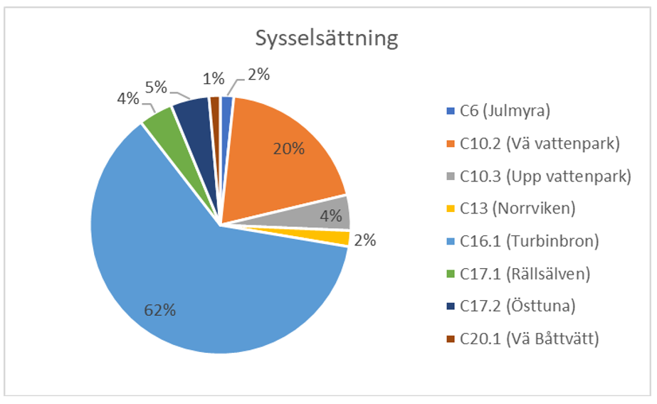 Ett cirkeldiagram som visar fördelningen av beräknad sysselsättning per projekt, där Turbinbronsprojektet har störst andel. 