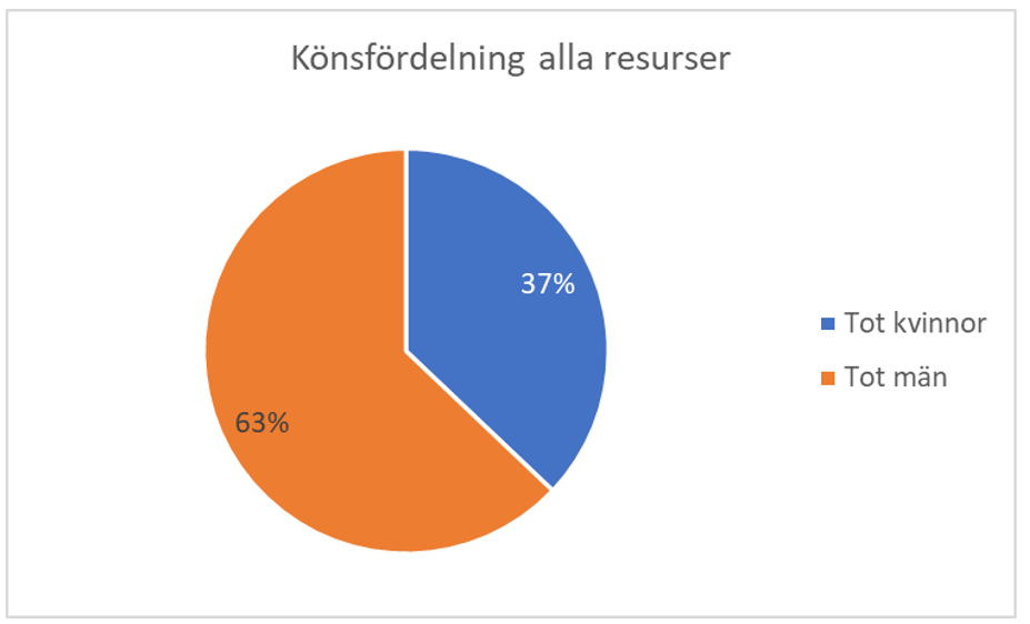 Ett cirkeldiagram som visar att fler män är sysselsatta i projekten än kvinnor totalt sett.