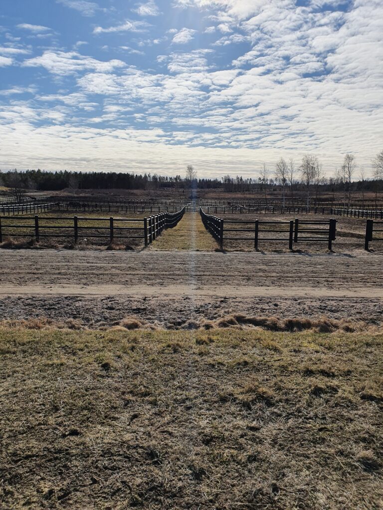 Flera hästhagar med svarta staket runt.