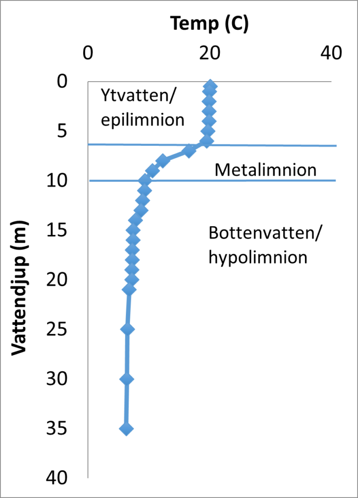 Linjediagram med temperatur på x-axeln och vattendjup på y-axeln. Diagrammet visar att vattentemperaturen är 20 grader och konstant på djupet 0 till 6 meter (epilimnion), för att därefter snabbt sjunka från 20 grader till 10 grader i djupintervallet 6 till 10 meter (metalimnion). Under 10 meters djup minskar temperaturen enbart sakta till strax under 10 grader på 35 meters djup.