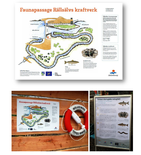 Bild som visar en informationsskylt med texten Faunapassage Rällsälvs kraftverk och en karta.