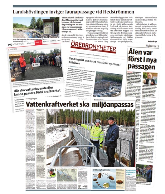 Bilden visar tidningsurklipp