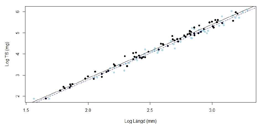 Figur 17. Samband mellan musslors längd och torrsubstans (TS). Svarta punkter och svart
trendlinje illustrerar musslor provtagna i maj, september och november (ej signifikant skilda åt),
och blåa punkter och trendlinje illustrera musslor provtagna i april.