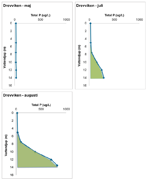 Tre linjediagram med totalfosforhalt på x-axeln och vattendjup på y-axeln. Diagrammen visar hur i sjön Drevviken fosforhalterna i vattnet ökar mellan maj och augusti. 