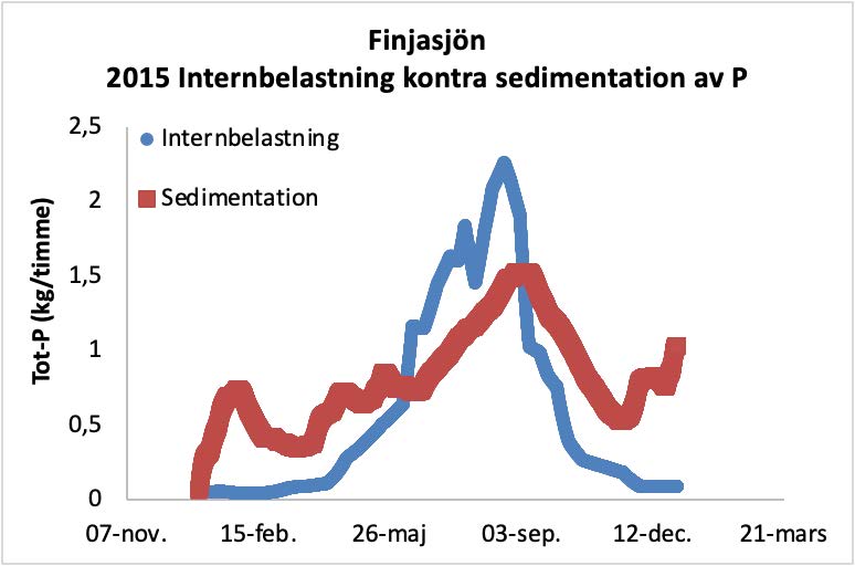 Linjediagram med tid på x-axeln och totalfosfor i kilogram per timme på y-axeln. Figuren visar hur både internbelastningen och sedimentationen av fosfor ökar under sommarhalvåret från noll i januari för att sen avta igen under hösten.