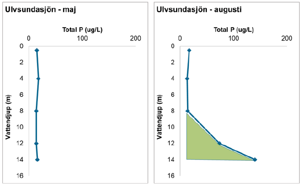 Två linjediagram med totalfosforhalt på x-axeln och vattendjup på y-axeln. Diagrammen visar hur fosforhalterna i vattnet ökar mellan maj och augusti i Ulvsundasjön. Haltökningen i både sjöar i störst nära botten och avtar sen med minskat djup.