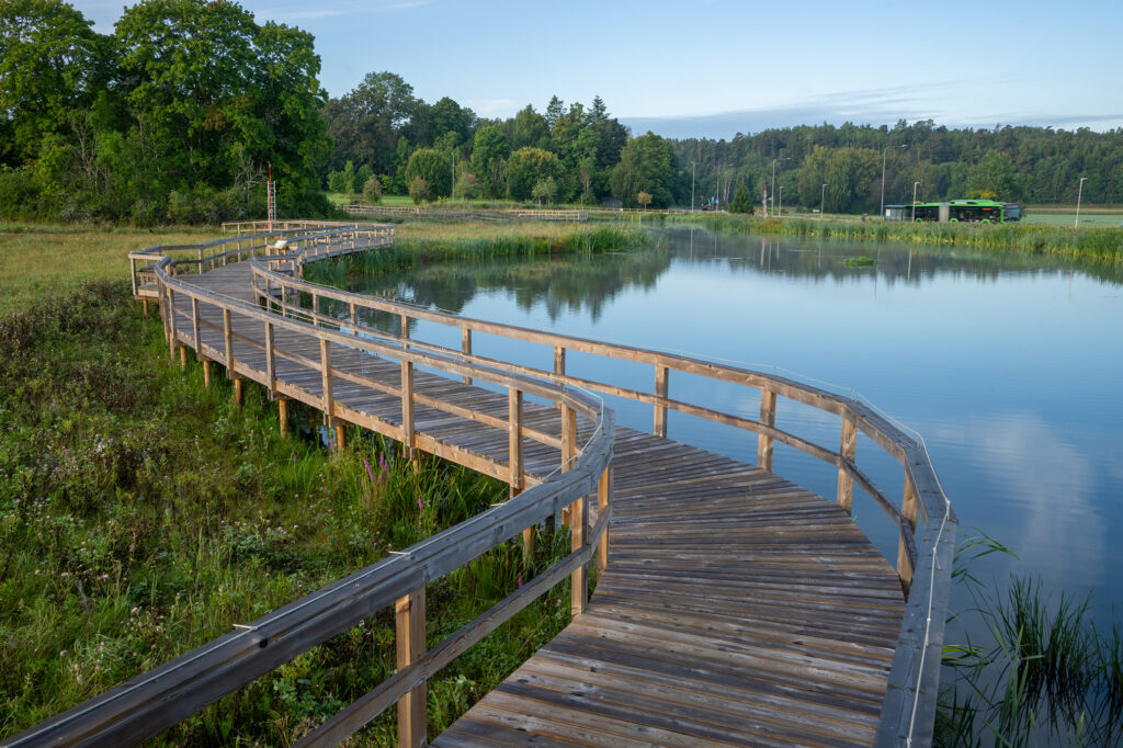 En smal gångbro längs en damm i parkmiljö. En blå himmel speglar sig i vattnet och i bakgrunden syns stora lövträd. En buss som skymtar fram vittnar om parken ligger nära en väg.