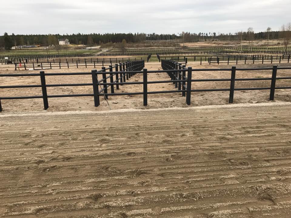 Flera hästhagar med svarta staket.