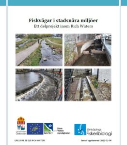 Omslag till rapporten, texten Fiskvägar i stadsnära miljöer med fyra mindre foton på fiskvägar och logotyper för Länsstyrelsen i Örebro län, LIFE, Rich Waters, Havs och vattenmyndigheten och Jönköpings fiskeribiologi.