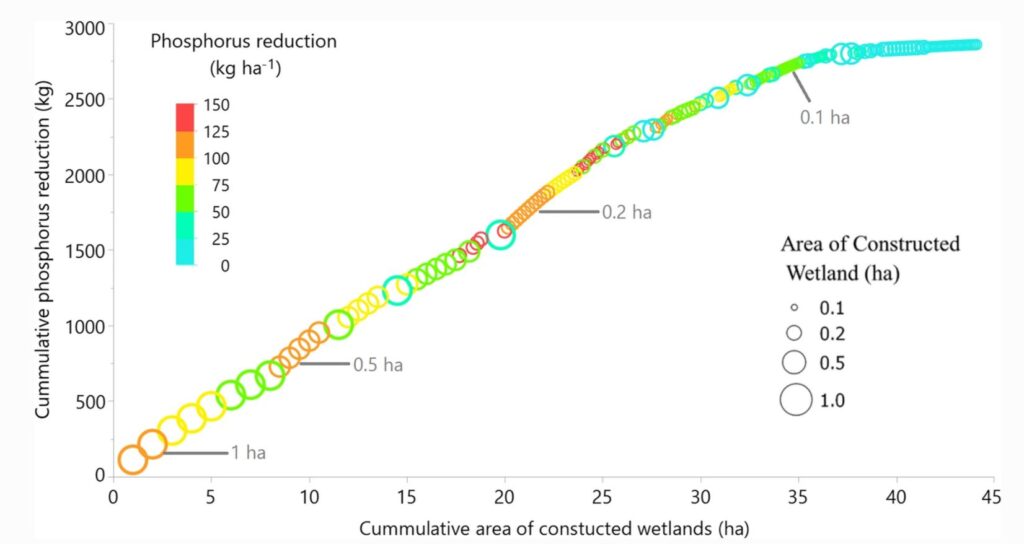 Illustrationen visar kumulativ modellerad fosforretention genom konstruerade våtmarker i Lillåns avrinnesområde, kombinerat med den totala ytan våtmark av fyra olika storlekar. Våtmarkerna är rankade utifrån minskande beräknad fosforreduktion. Cirkelstorleken representerar våtmarkens yta, medan färgerna visar områdesspecifik fosforreduktion