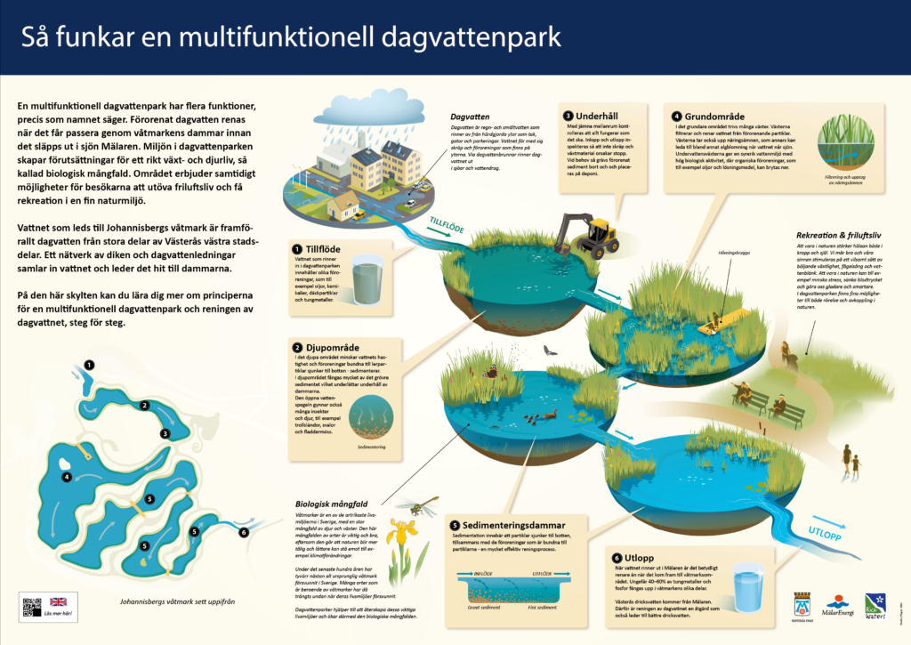 Illustration med rubriken Så funkar en multifunktionell vattenpark. På bilden syns dammar och förklarande text kring rening och biologisk mångfald.