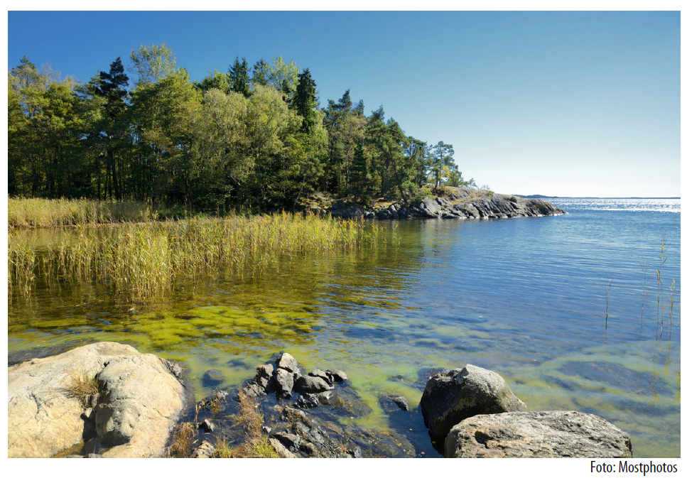En sjö drabbad av övergödning.